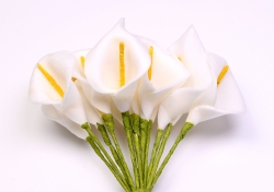 Foamblumen Calla weiss (12 Stck)